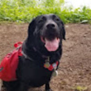 Meet your Posher, Adrian